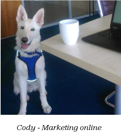 Cody from Online Marketing