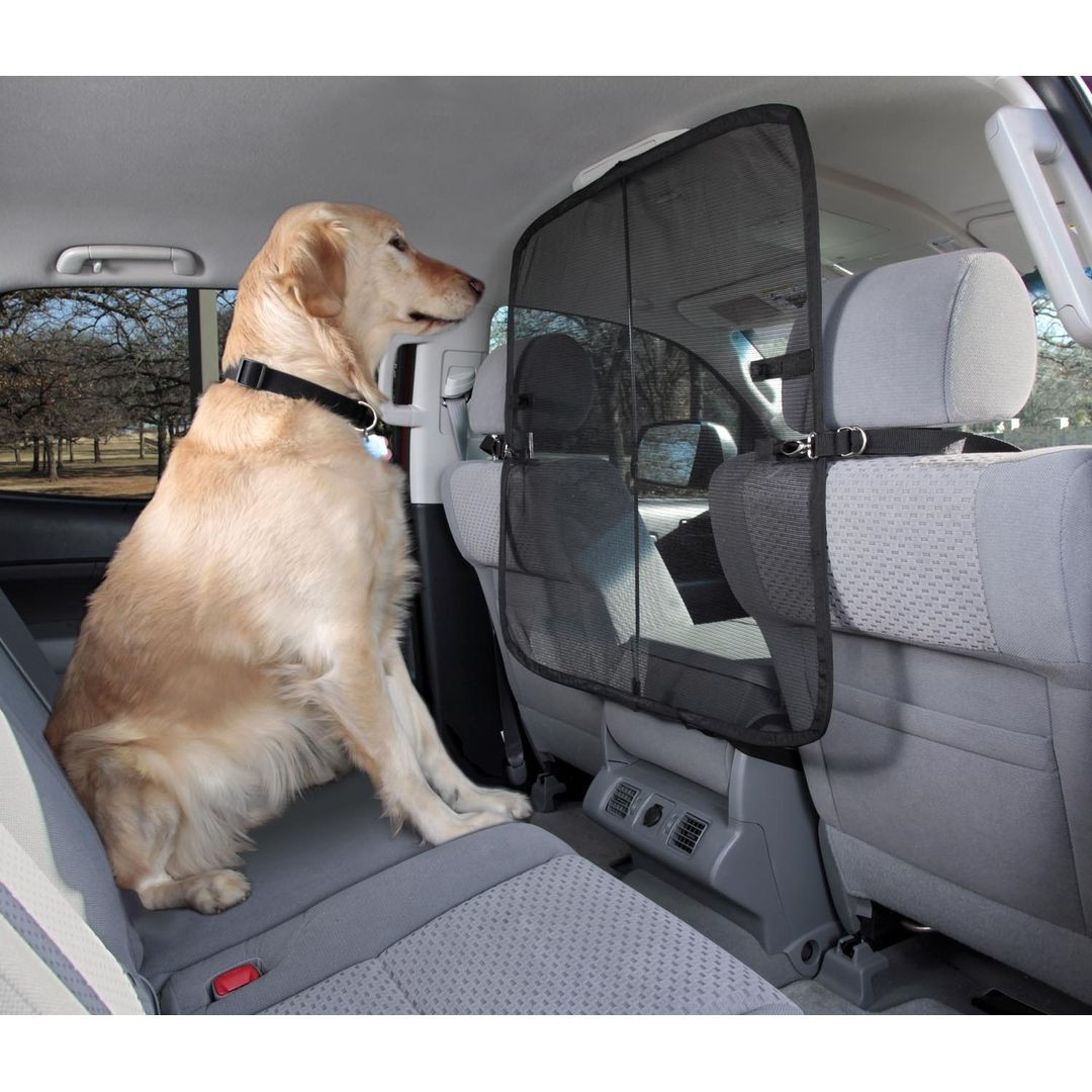 Rampe télescopique extra longue pour chiens Happy Ride™ de PetSafe