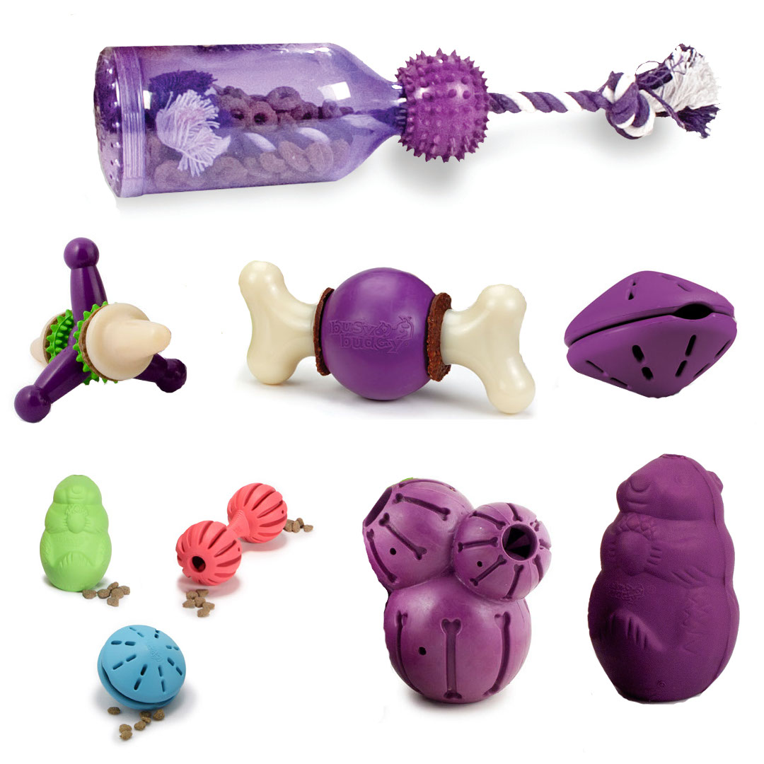 PetSafe Busy Buddy Barnacle - Dog Chew Toy - Treat Dispensing Dog Toys  Purple Large